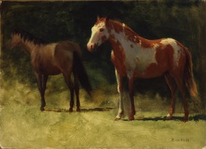 2頭の馬